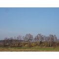 DSC07568